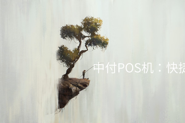 中付POS机：快捷支付以及安全保障