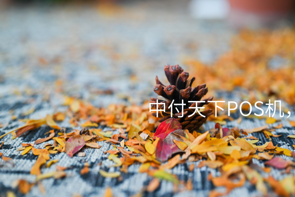 中付天下POS机，智慧支付亮起新火花